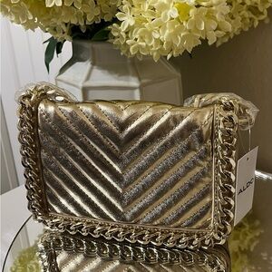 NWT Aldo Migreenwaldd Crossbody Bag, Gold